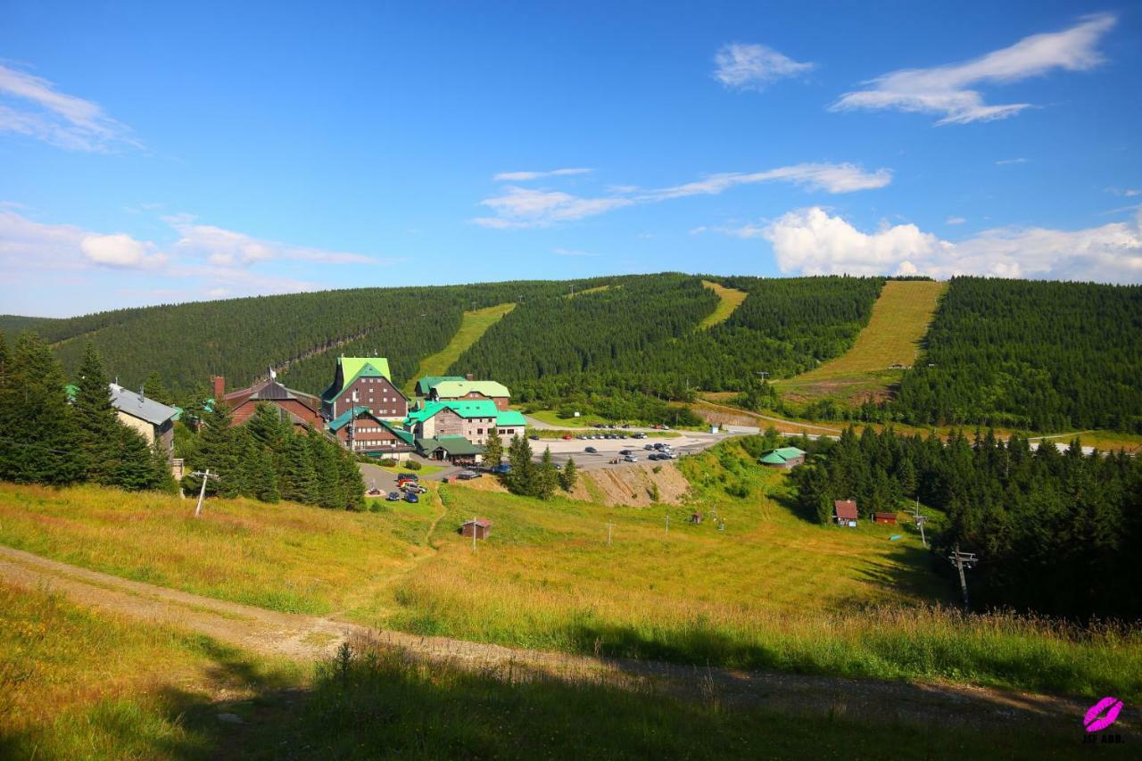 Apartman 77 Loučná nad Desnou エクステリア 写真